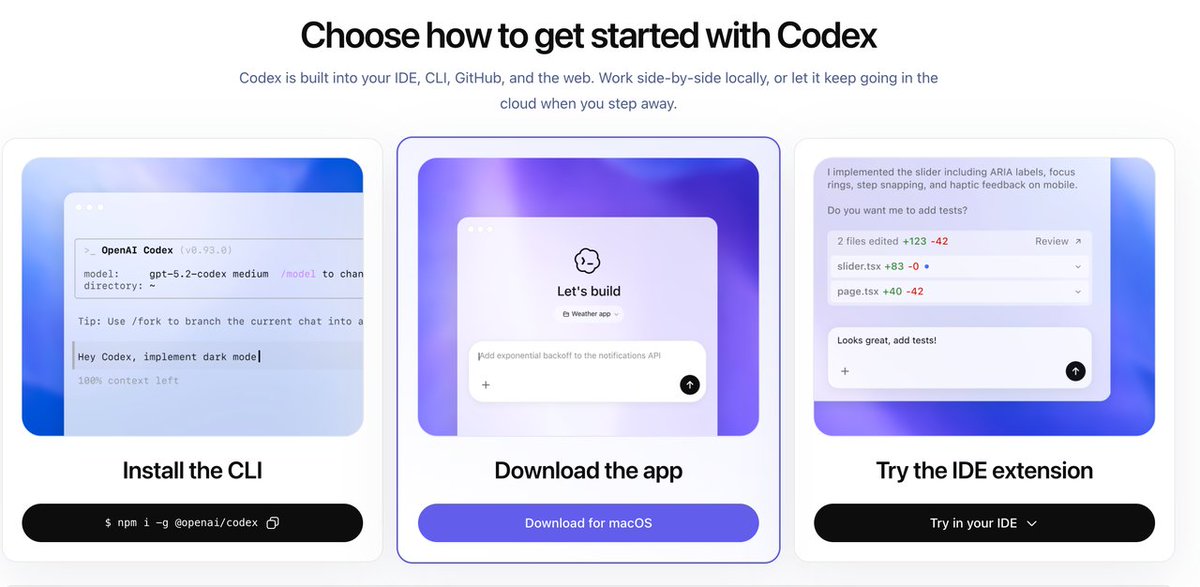 Codex 安装界面